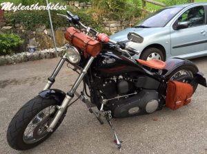 SO04 Veg Havane Harley Softail (1)